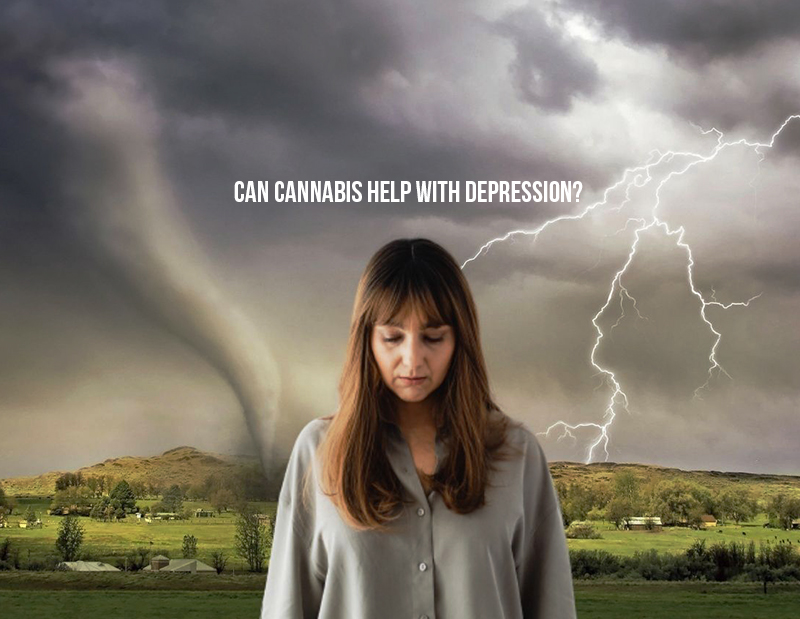 cannabis and depression