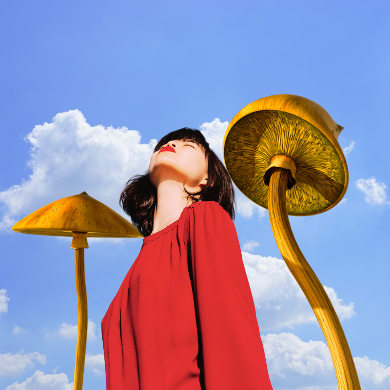 magic mushrooms