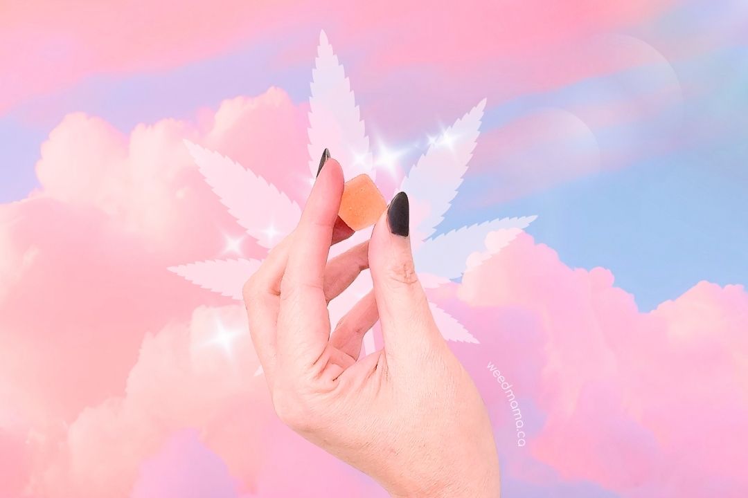 Featured image for “My go-to edibles: these are the ones you’ll always find in my stash”